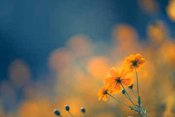 五千以内的笔记本电脑推荐