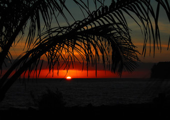 厦门金山二手市场