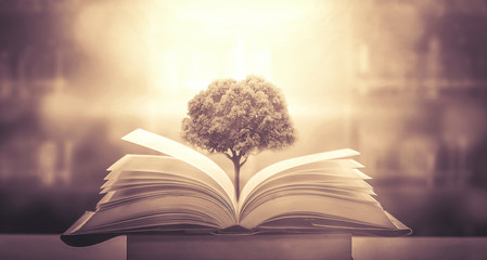 二本财经类大学排名