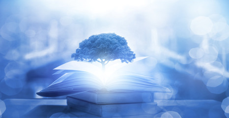 十大耐用笔记本排行榜