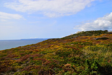 五千以内的笔记本电脑推荐