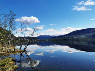 十大笔记本排名