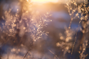 交强险对方不配合可以理赔吗