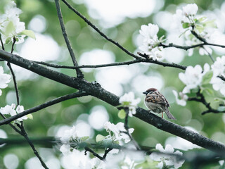 厦门金山二手市场