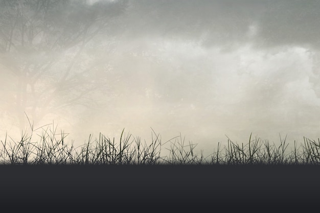 二本财经类大学排名