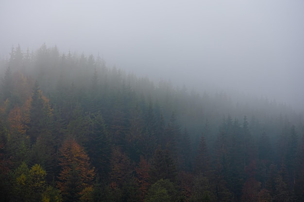 十大笔记本排名