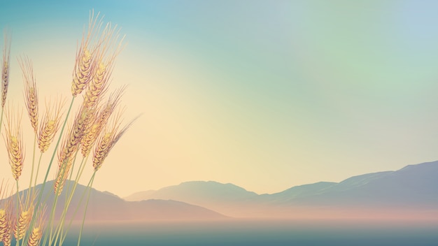 十大笔记本排名