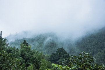 交强险对方不配合可以理赔吗