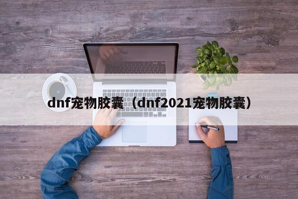 dnf宠物胶囊(dnf2021宠物胶囊)
