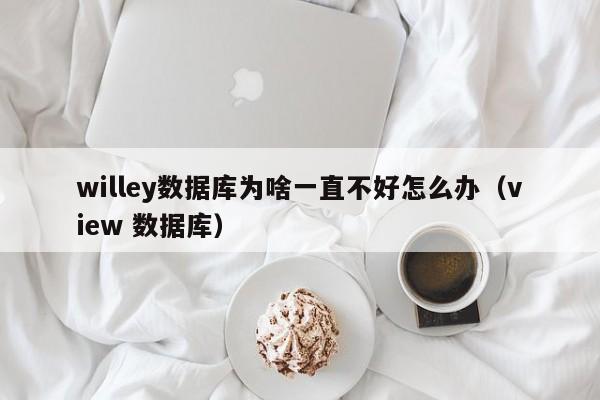 willey数据库为啥一直不好怎么办(view 数据库)