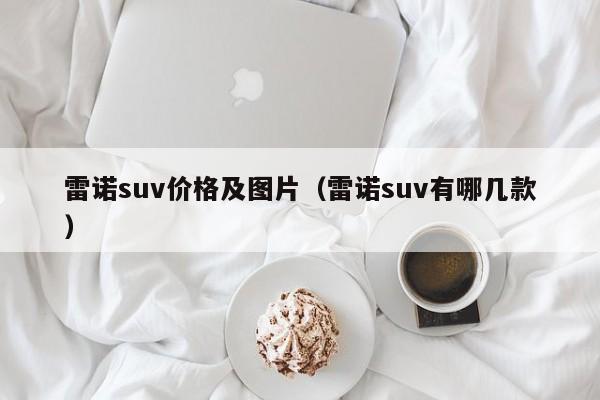 雷诺suv价格及图片(雷诺suv有哪几款)